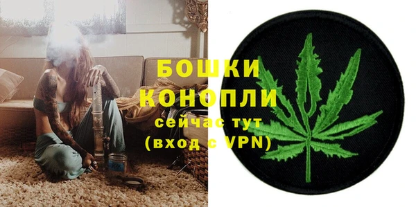сатива Абаза