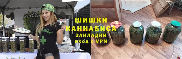 сатива Абаза