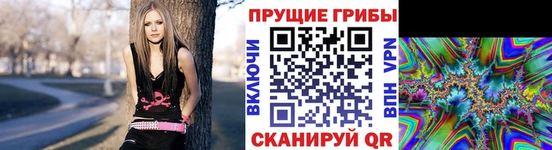 наркота  Якутск  MEGA ONION  Псилоцибиновые грибы ЛСД 