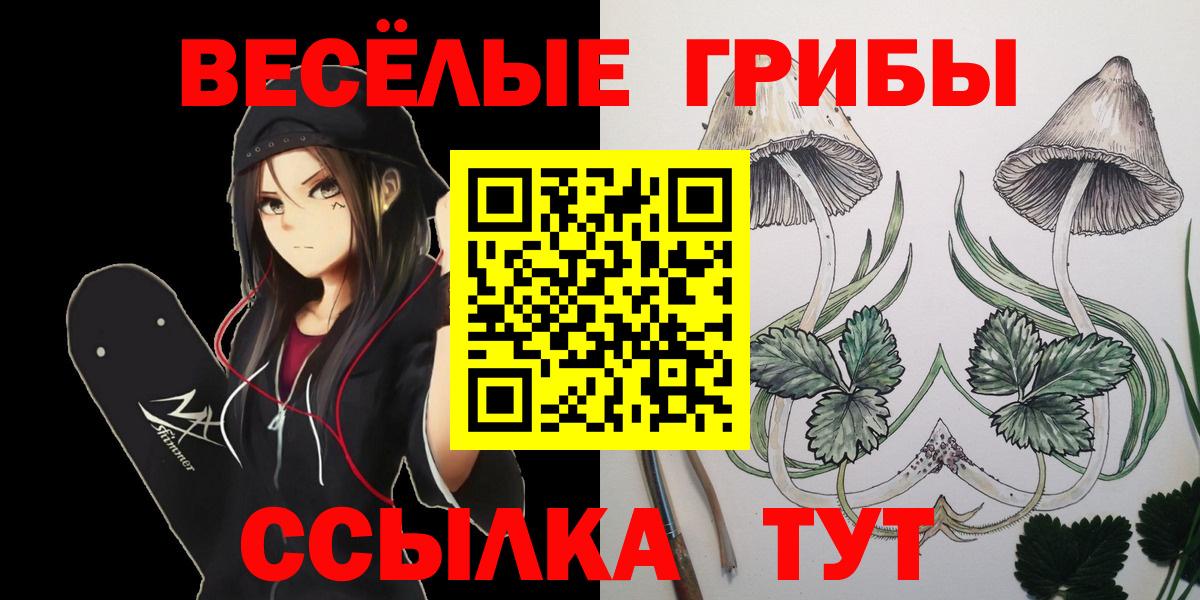 Псилоцибиновые грибы Psilocybe Якутск