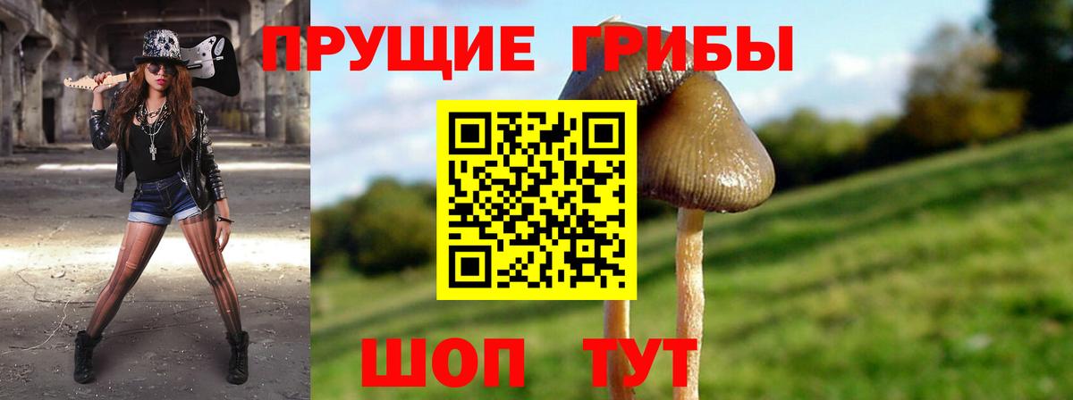 Галлюциногенные грибы GOLDEN TEACHER  Вход с VPN  Якутск 